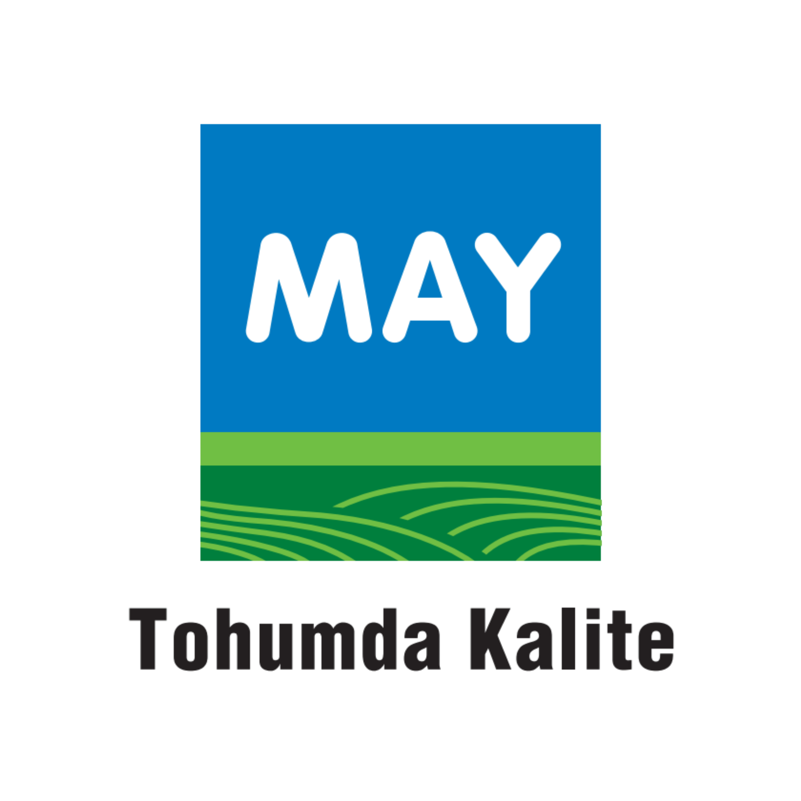 May Tohum