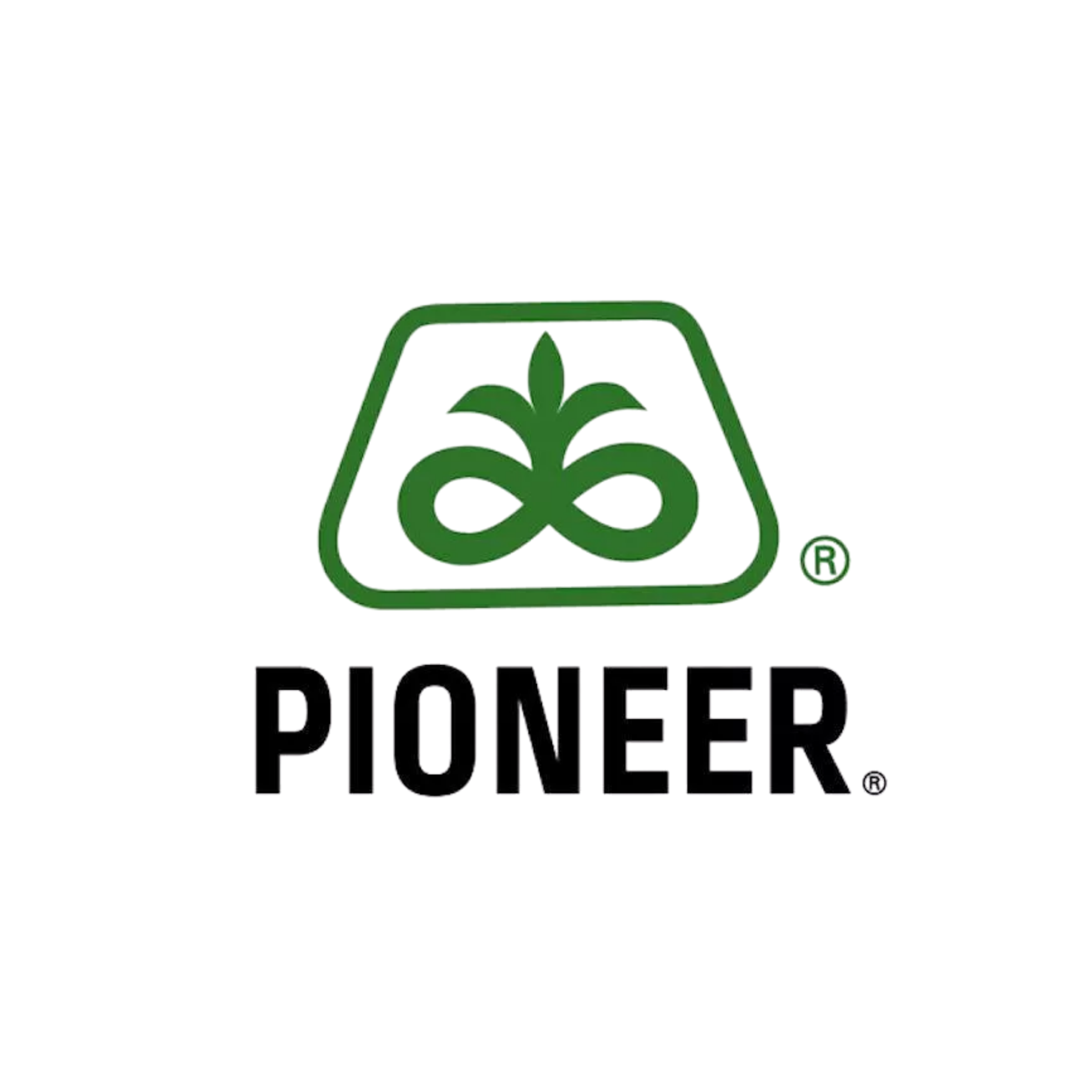 Pioneer
